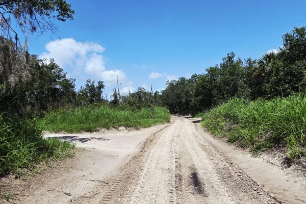 Road in wilderness